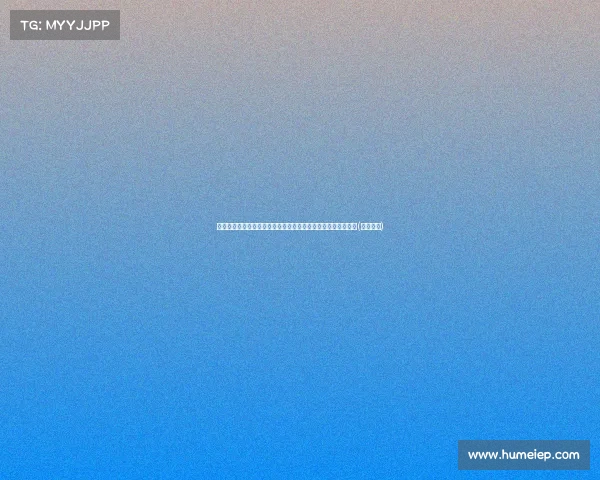 拼搏终得回报！双探花历经五次东决，两度总决赛终赢得总冠军(双探口碑)