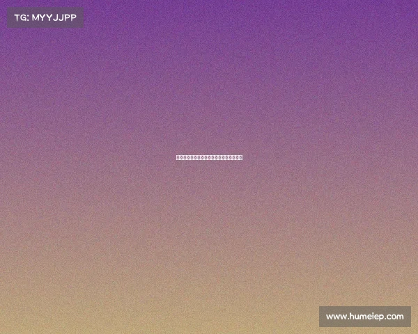 斯图加特新签球员表现亮眼，球队加速进步