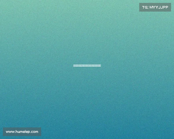 火箭赛季最后时刻再度反弹,重返季后赛圈 火箭赛季最后时刻再度反弹,重返季后赛圈