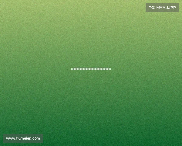 郭士强解释为何高诗岩更受青睐:不给未准备好的球员机会 郭士强解释为何高诗岩更受青睐:不给未准备好的球员机会